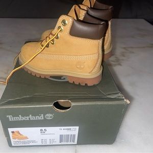 Toddler Timberland boot